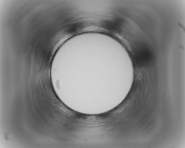 X0000097951322200804211026