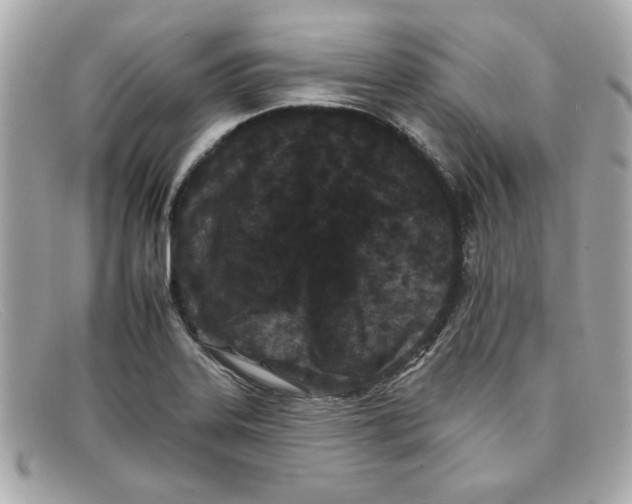 X0000097951323200804211026
