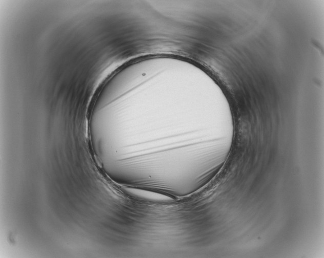 X0000097951324200804211026