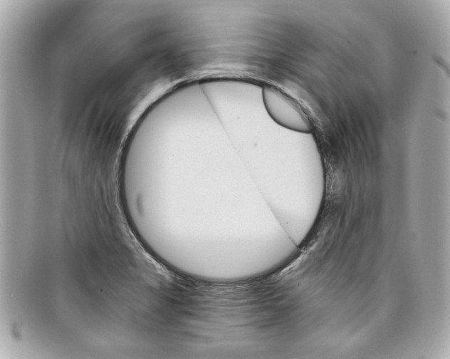 X0000097951325200804211026