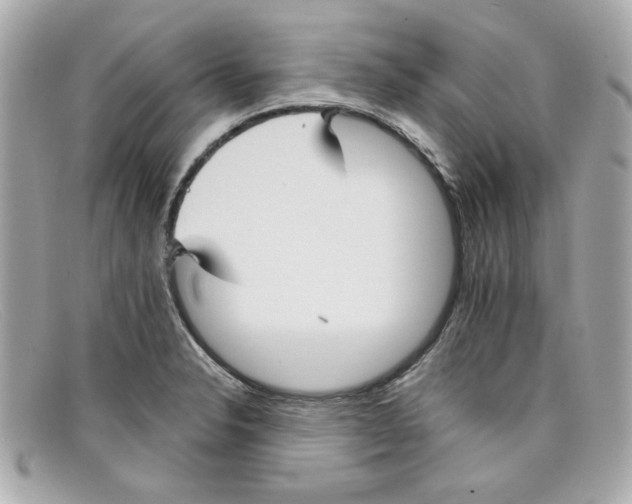 X0000097951326200804211026