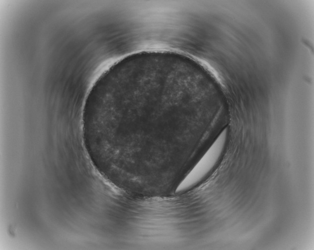 X0000097951327200804211026
