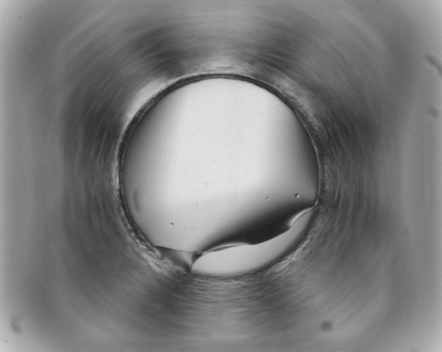 X0000097951328200804211026