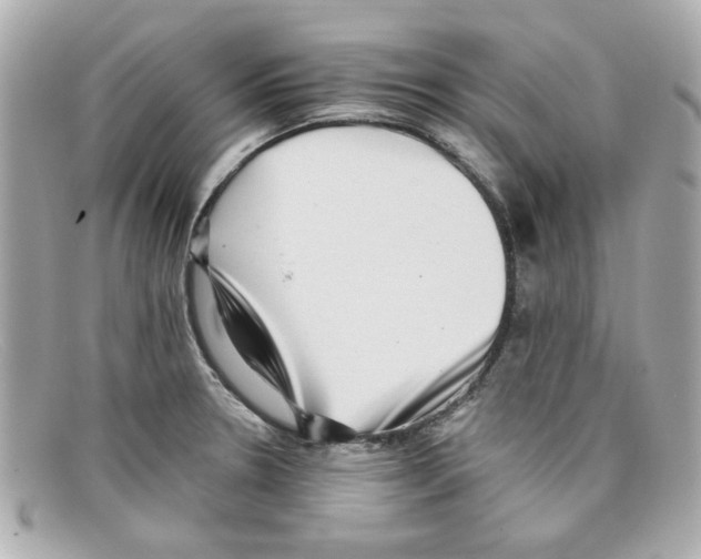 X0000097951330200804211026