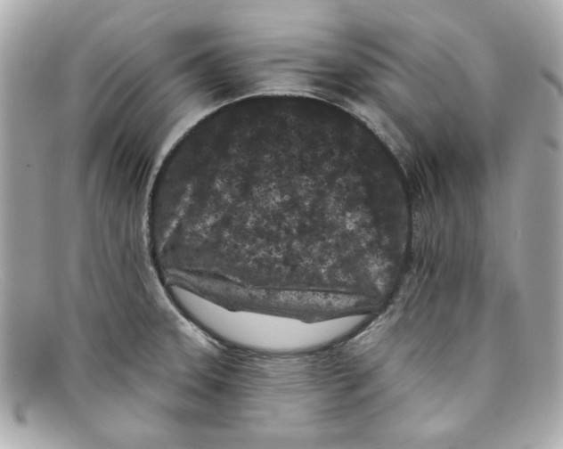 X0000097951331200804211026