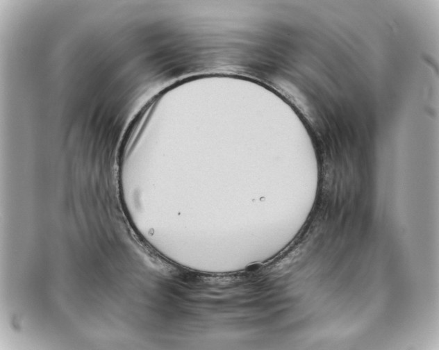 X0000097951332200804211026