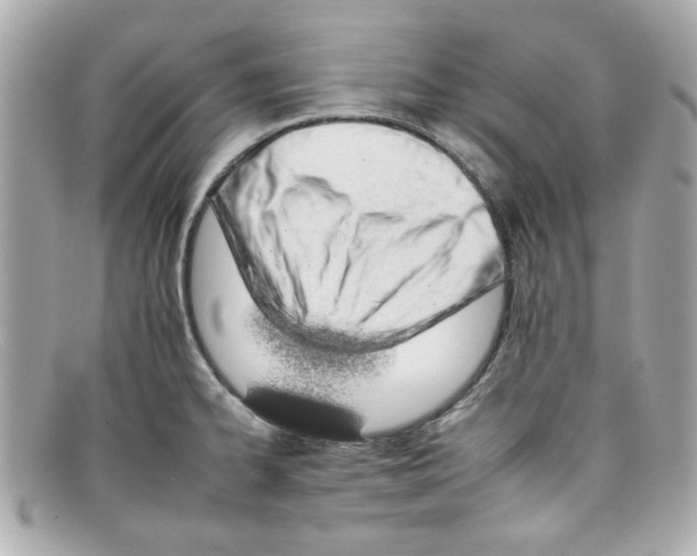 X0000097951334200804211026