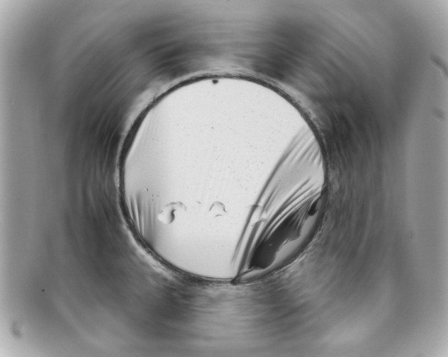 X0000097951335200804211026