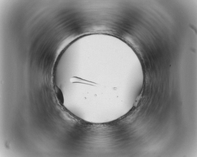X0000097951336200804211026