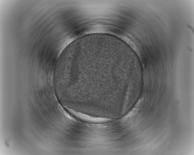 X0000097951337200804211026