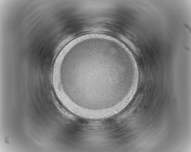 X0000097951338200804211026