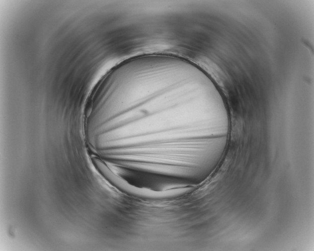 X0000097951342200804211026