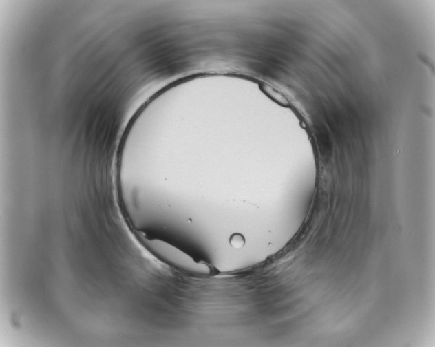 X0000097951343200804211026