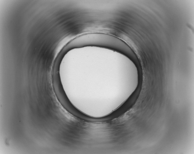 X0000097951344200804211026