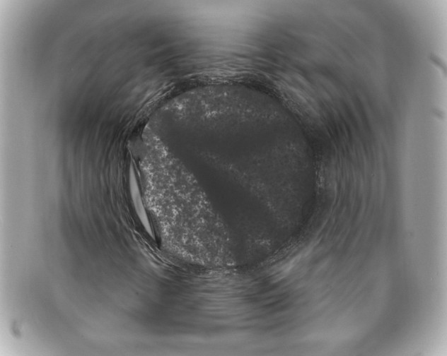 X0000097951346200804211025