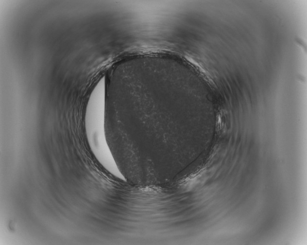 X0000097951348200804211025