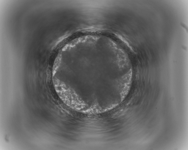 X0000097951350200804211025
