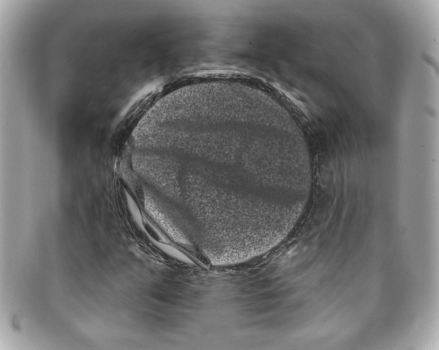 X0000097951351200804211025