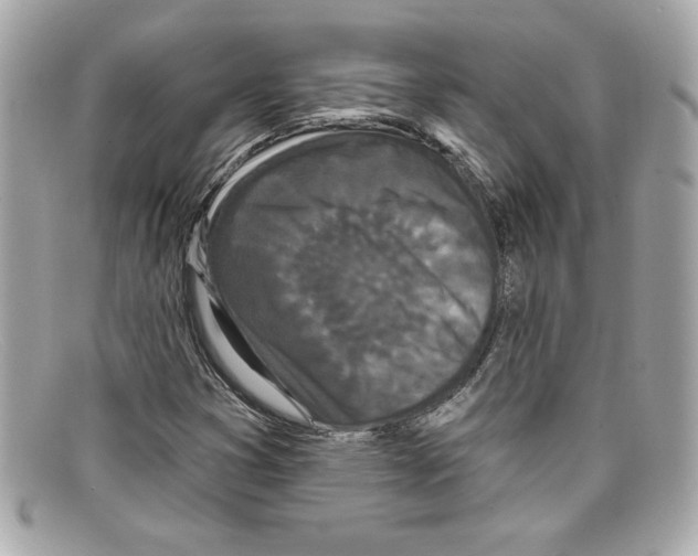 X0000097951353200804211025