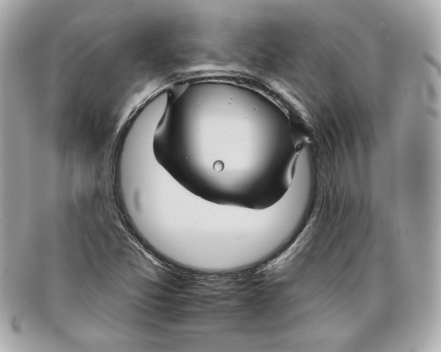 X0000097951357200804211025