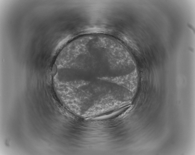 X0000097951358200804211025