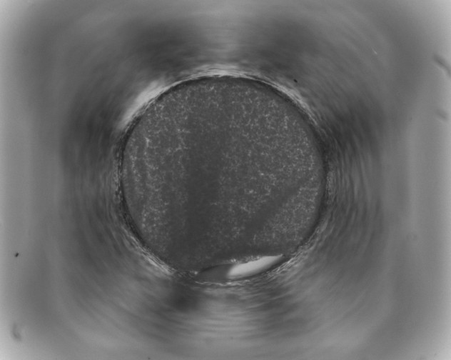 X0000097951359200804211025