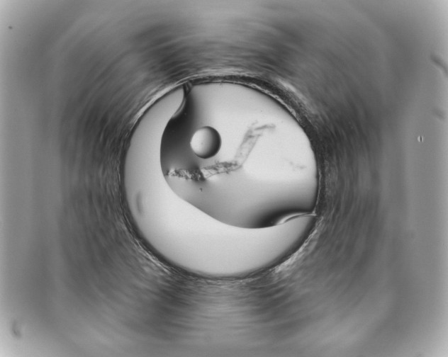 X0000097951361200804211025