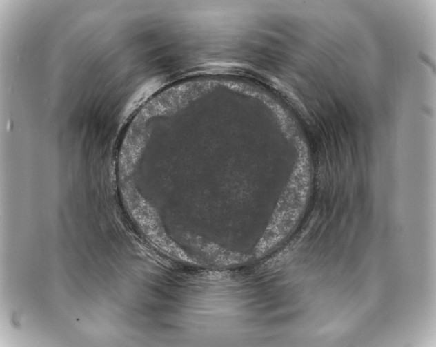 X0000097951362200804211025