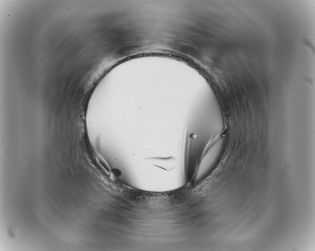 X0000097951363200804211025