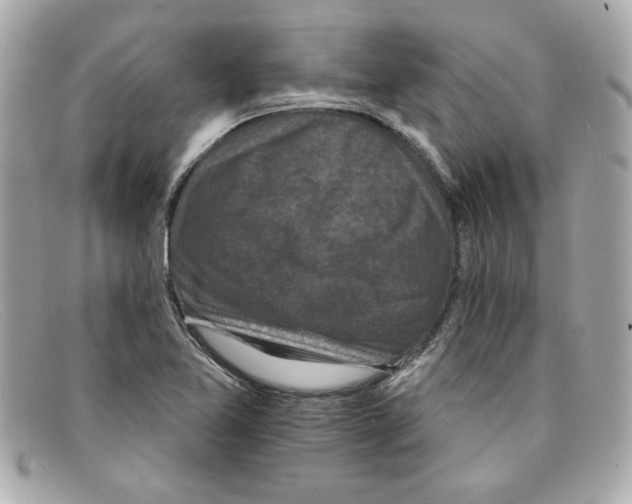 X0000097951365200804211025
