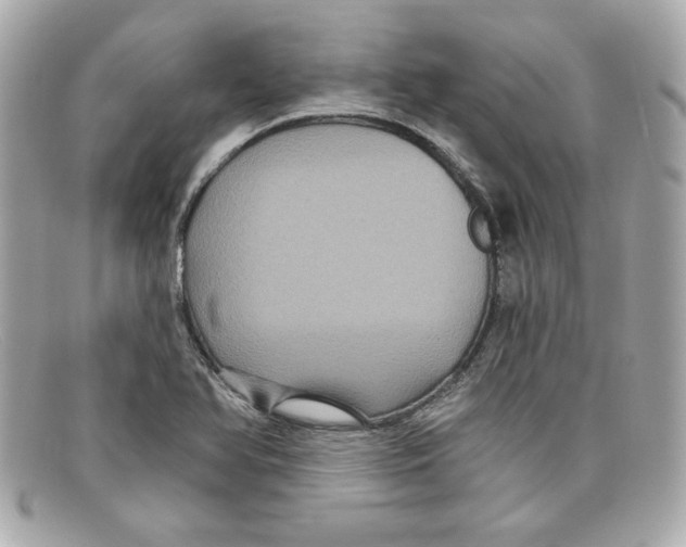 X0000097951366200804211025