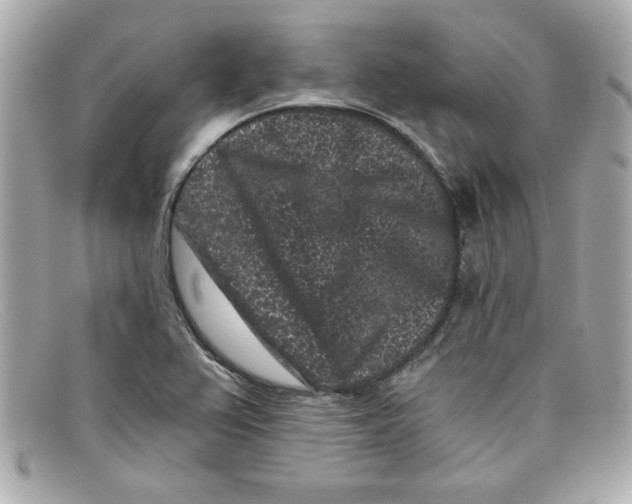 X0000097951367200804211025