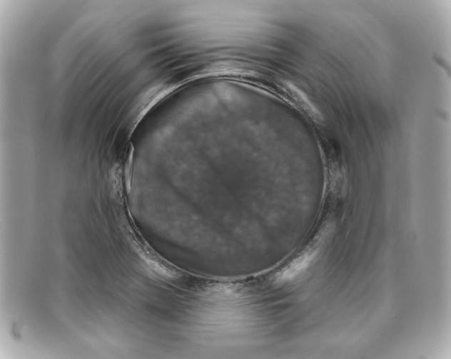 X0000097951369200804211025