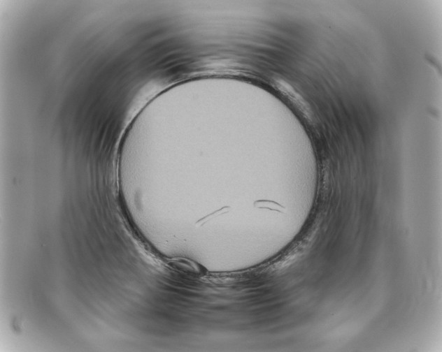 X0000097951370200804211025