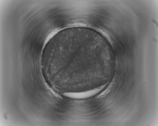 X0000097951373200804211025