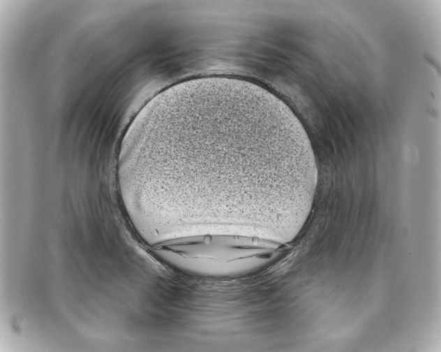 X0000097951374200804211025