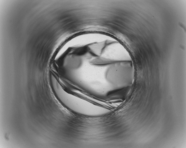 X0000097951376200804211025