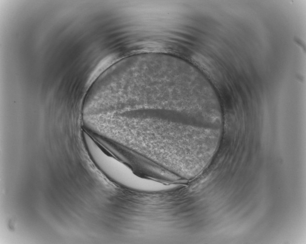 X0000097951378200804211025