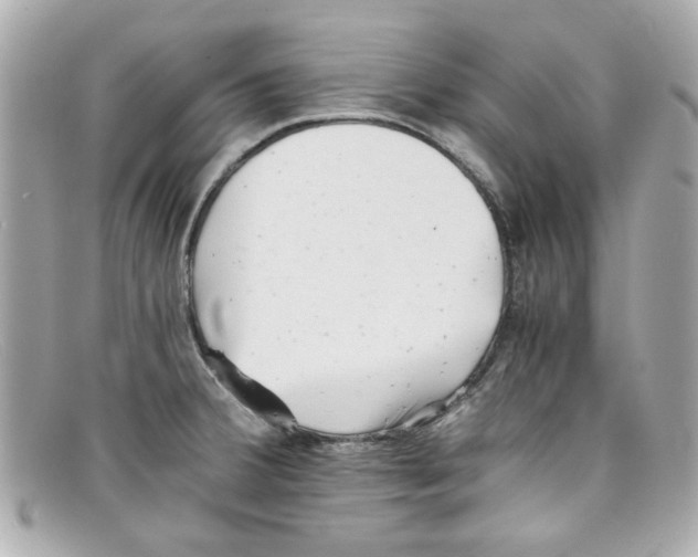 X0000097951380200804211025