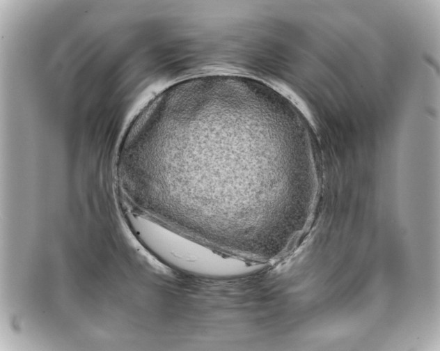 X0000097951381200804211025