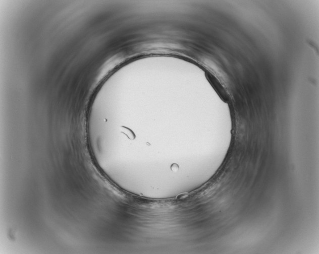 X0000097951384200804211025
