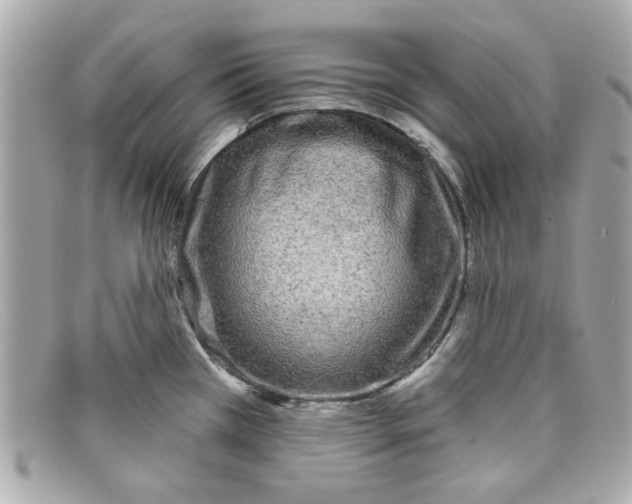 X0000097951385200804211025