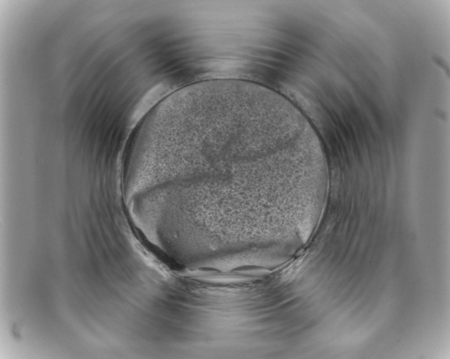 X0000097951386200804211025