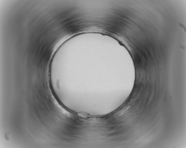 X0000097951387200804211025