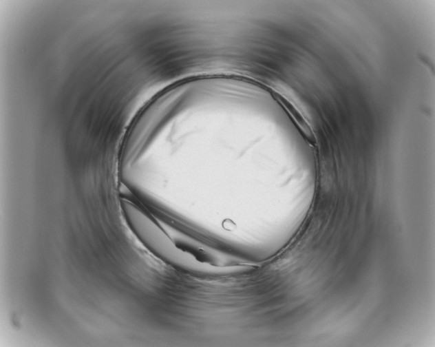 X0000097951388200804211025