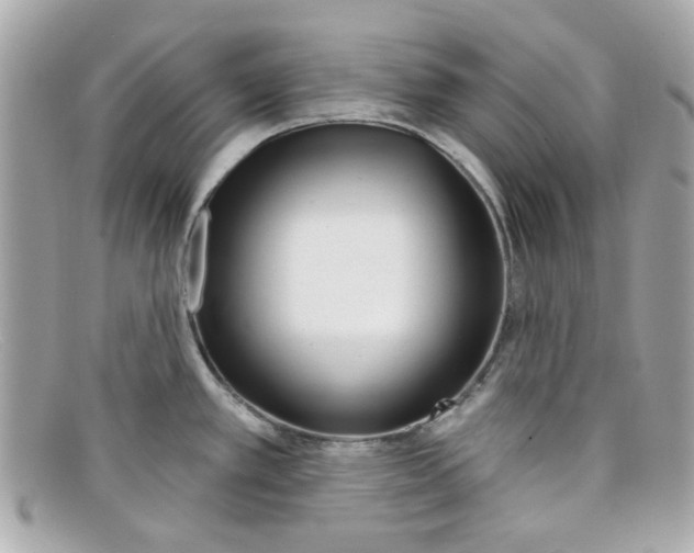 X0000097951389200804211025