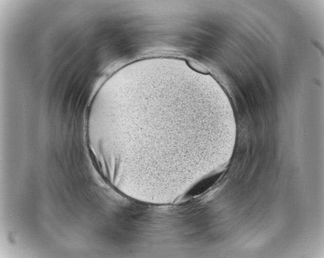 X0000097951390200804211025