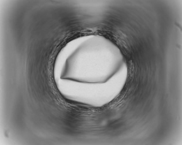 X0000097951393200804211024