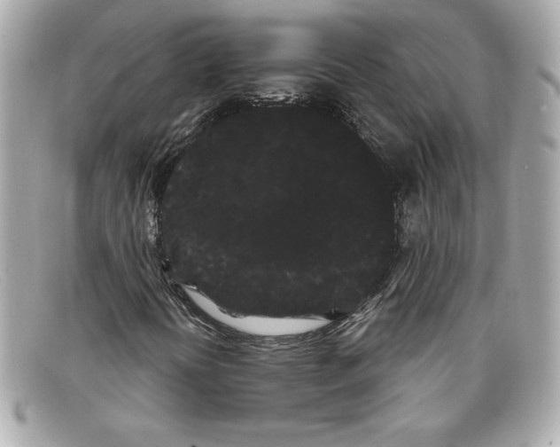 X0000097951394200804211024