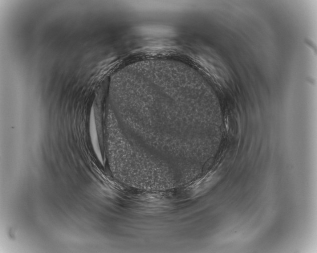 X0000097951396200804211024